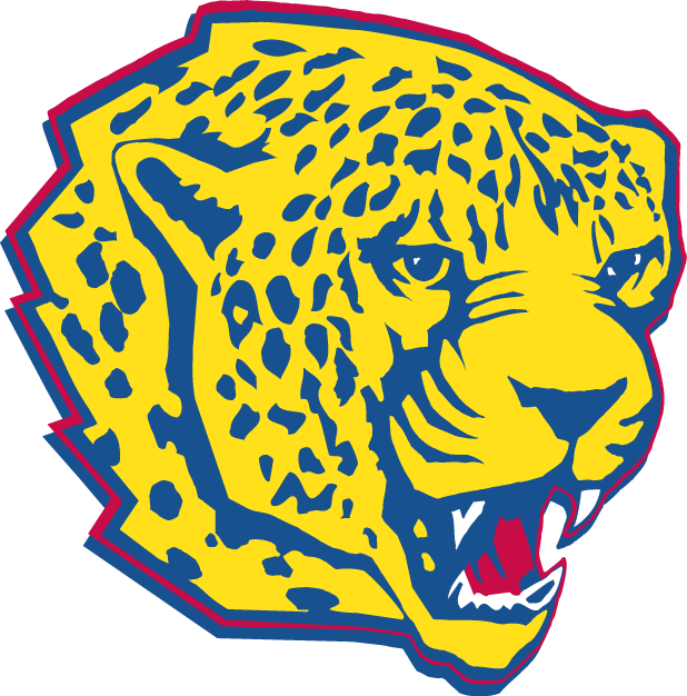 South Alabama Jaguars 1997-2007 Partial Logo t shirts iron on transfers